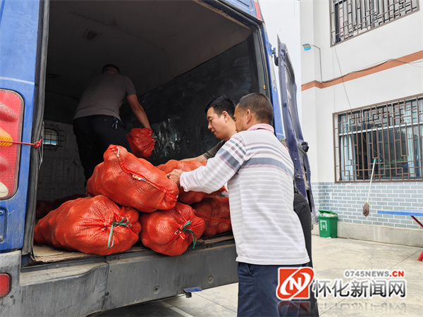 省委黨校鄉村振興幫扶工作隊正在將紅薯裝車發往長沙