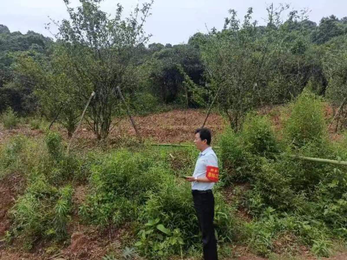 微信图片_20231103160601.jpg 微信图片_20231103160601.jpg