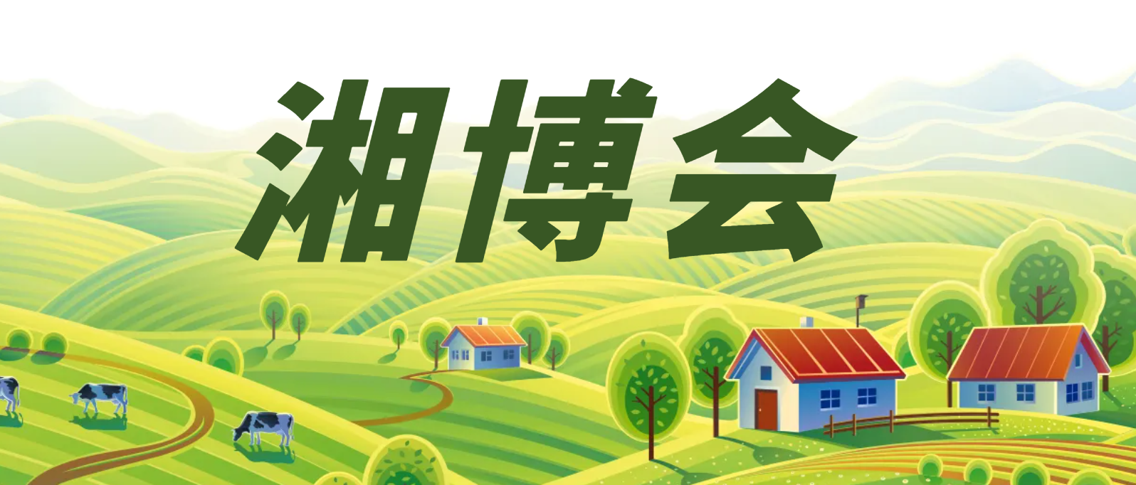 专题丨湘博会