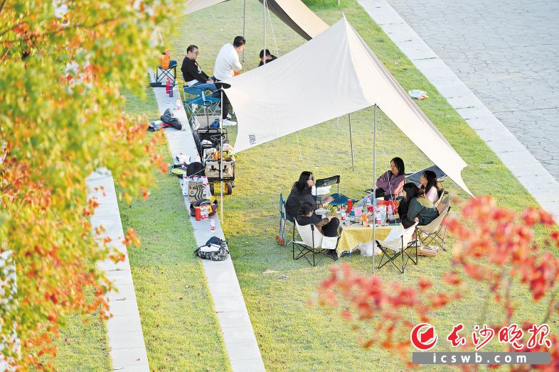 　　磨盘洲　　生态公园附近，众多游客在露营、滑草、休闲，享受着秋日的诗情画意。