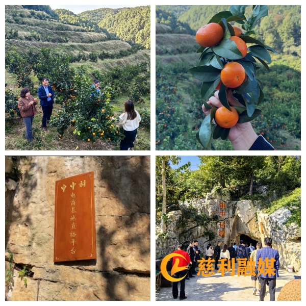 走村观摩拼接1_600加水印.jpg