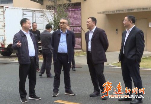 宁远人大代表开展集中视察活动_副本500.jpg