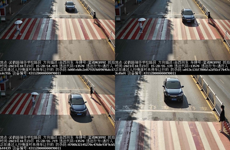 图片11.jpg