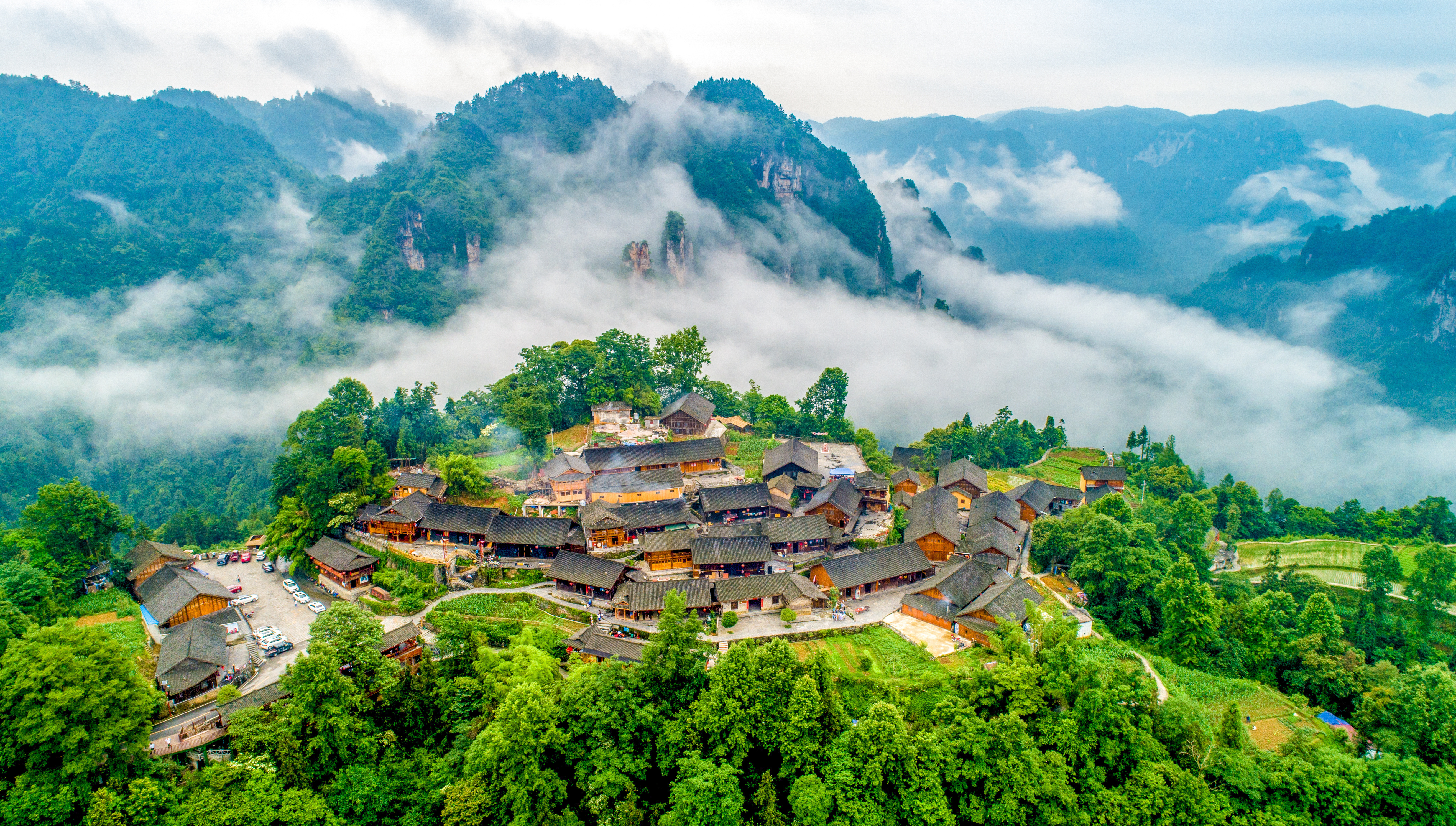 微信图片_20231114122352.jpg?x-oss-process=style/w10