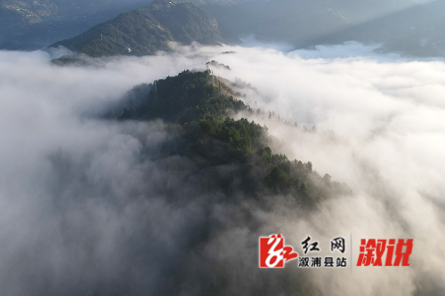 云海3.jpg