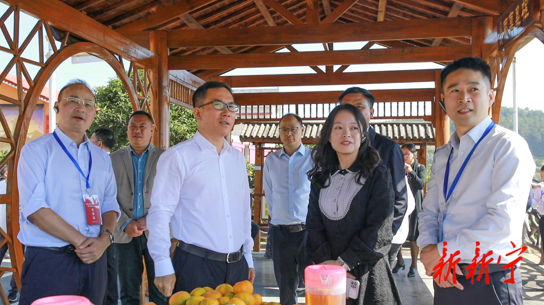 全省易地扶贫搬迁后续扶持暨以工代赈工作现场会观摩团来新考察(图2)