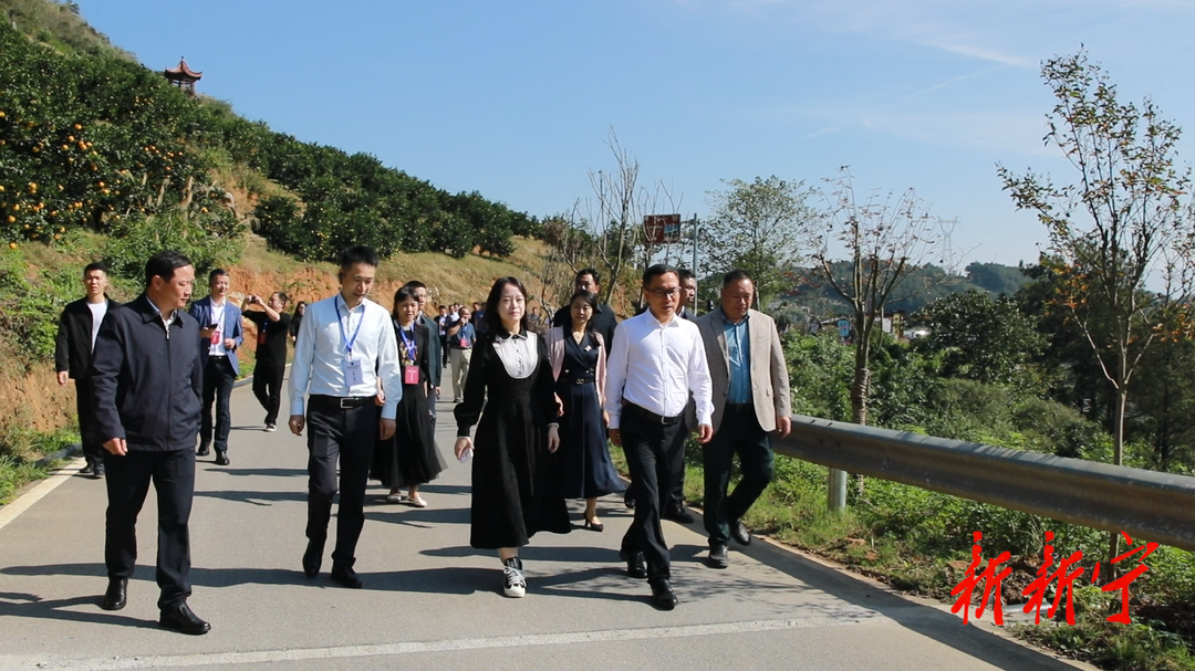 全省易地扶贫搬迁后续扶持暨以工代赈工作现场会观摩团来新考察(图1)