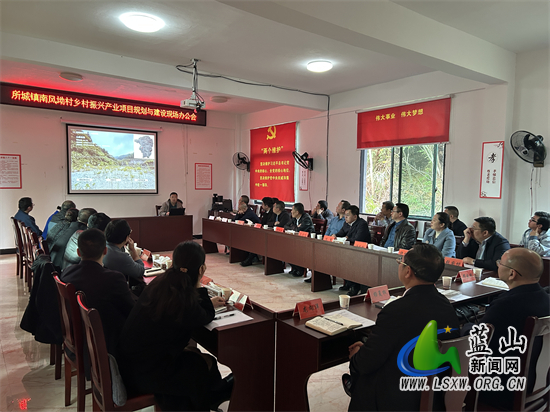 我县南风坳村乡村振兴产业项目规划与建设现场办公会召开.jpg
