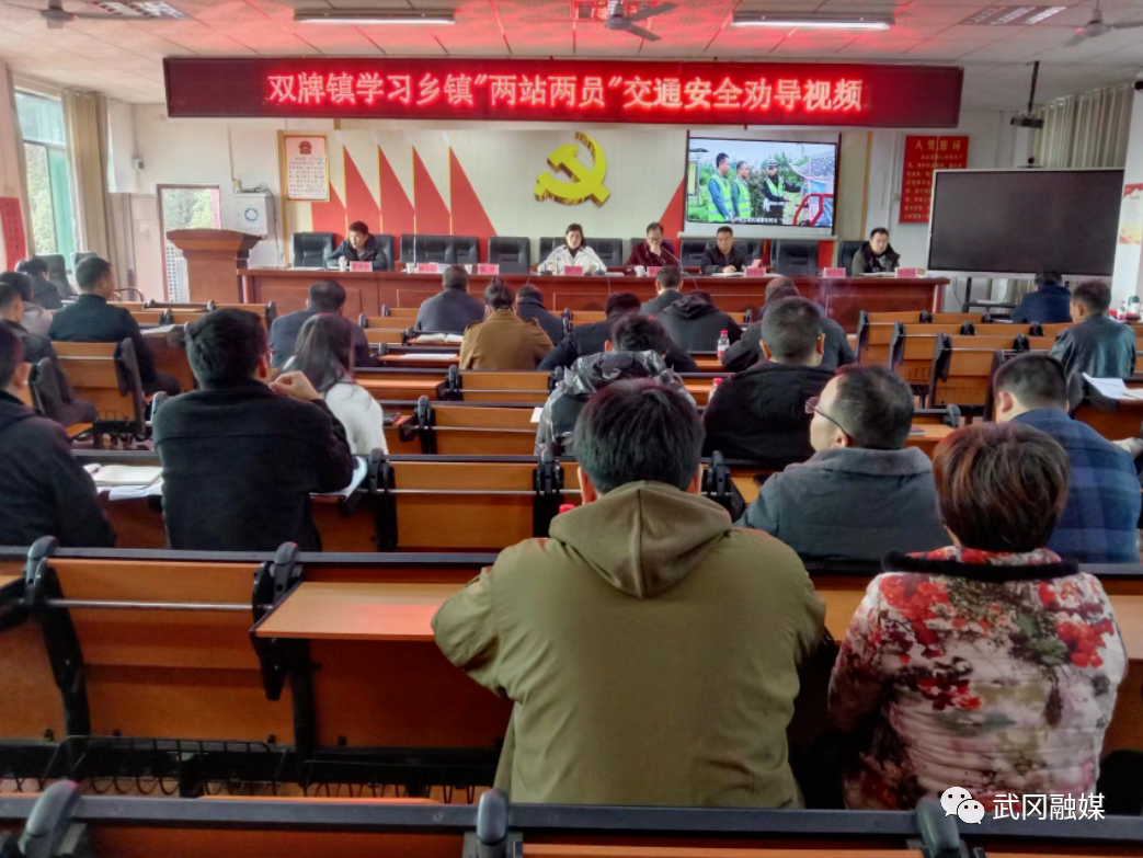 双牌镇：开展“两站两员” “面对面”辅导视频培训会(图1)