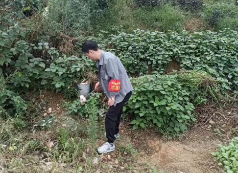 1700204093178.png