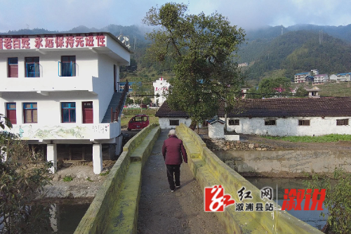 红网稿件图片acf.jpg