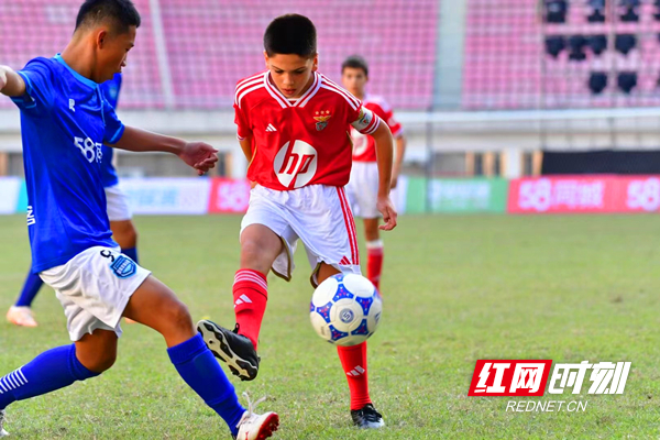 微信图片_20231121174017.jpg 微信图片_20231121174017.jpg