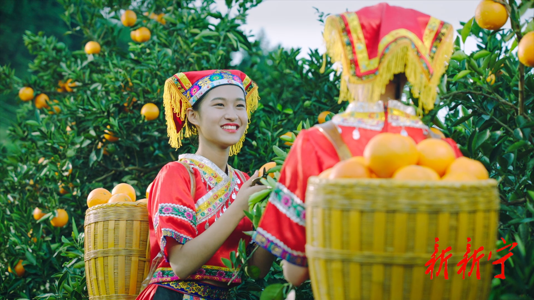 中国·崀山第九届脐橙文化旅游节11月18日启幕 四大活动“橙意新宁”待君来(图4)