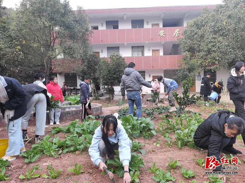 和平溪学校留守少年在学校“学农乐园”学种蔬菜.jpg