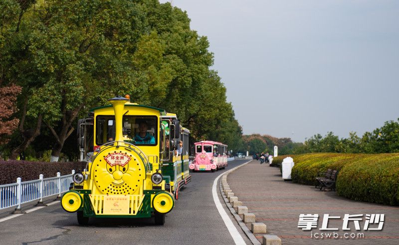 11月22日，橘子洲景区6台“小黄人”小火车上新，萌萌的造型和色彩受到游客们的青睐。均为长沙晚报全媒体记者 邹麟 摄