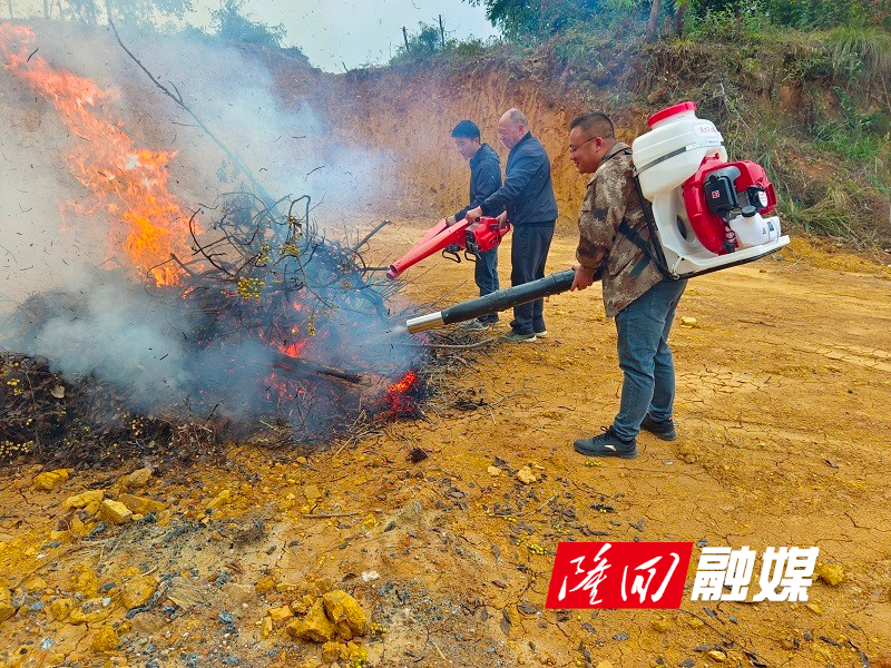 西洋江镇开展森林防火应急实战演练(图1)