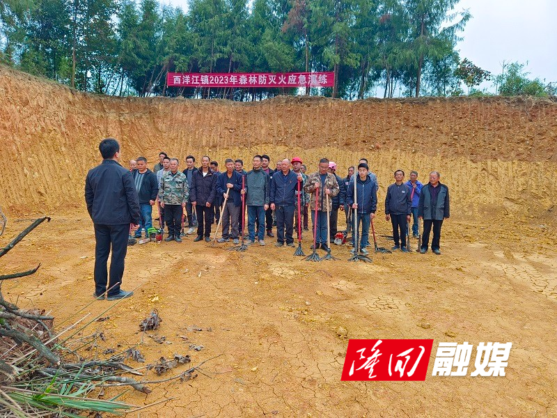 西洋江镇开展森林防火应急实战演练(图2)