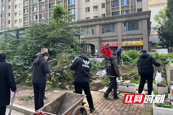 图片3_副本.jpg