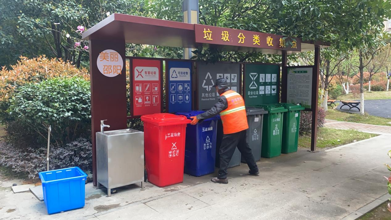 优化营商环境|双清区城管局积极开展垃圾分类工作(图1)