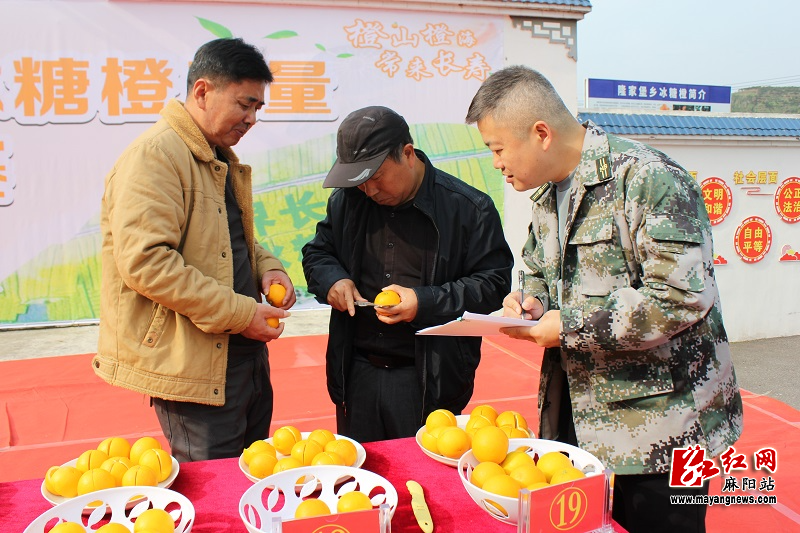 微信图片_20231127113511.jpg