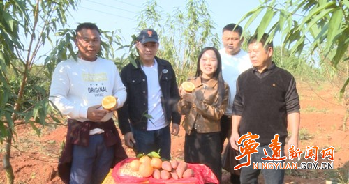 寧遠農村創新創業者培訓班開展現場實訓活動2_副本500.jpg
