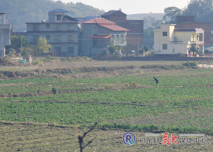 图片1.png11111.png