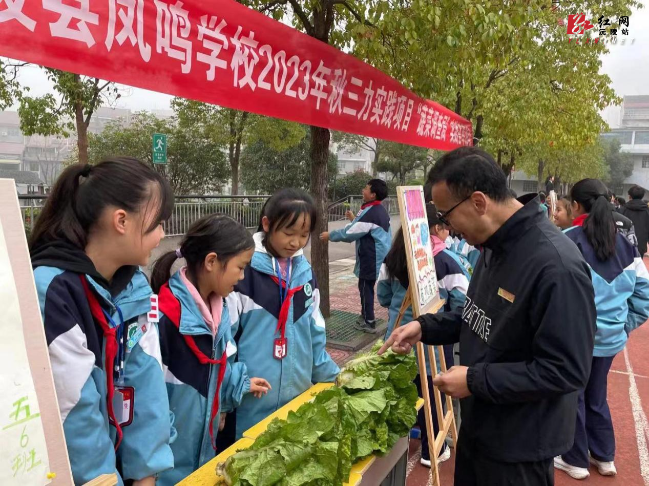 图片2.png