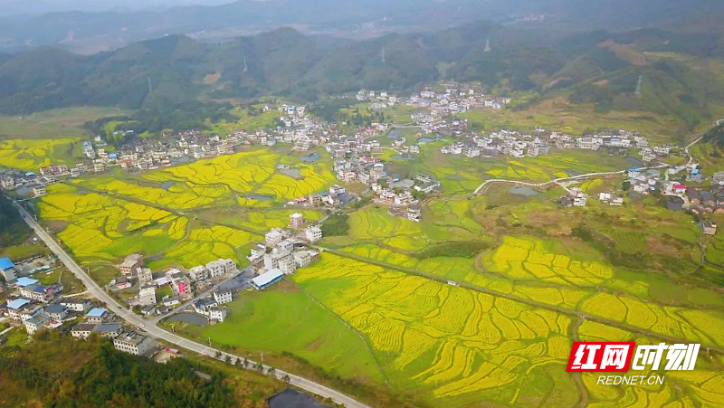 龙村大场景_副本.jpg