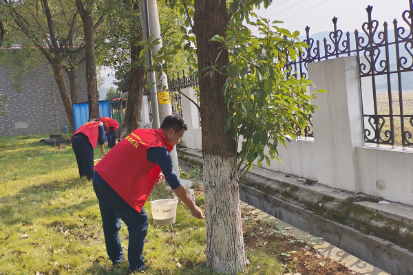 收费站工作人员为树木穿上“冬装”.png 收费站工作人员为树木穿上“冬装”.png