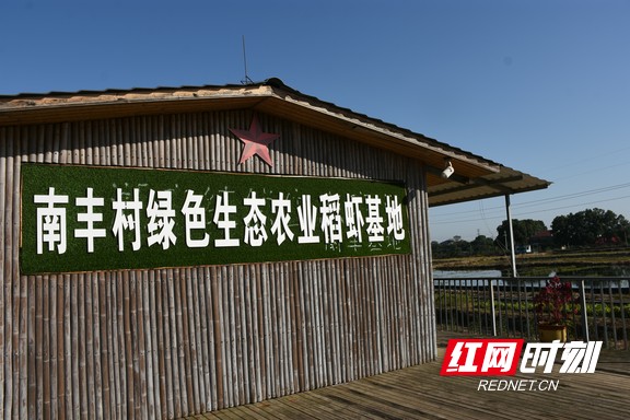 村里的稻虾养殖基地。.marked.jpg