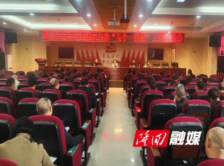 隆回县召开紧密型县域医共体“五个一体化”工作推进会(图1)