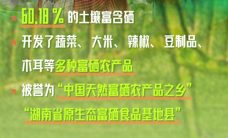  数说丨挺进大湾区 粤港澳缘何青睐永州新田蔬菜
