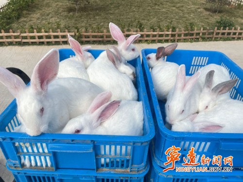 宁远水市镇：优化营商环境 助力乡村振兴2_副本500.jpg