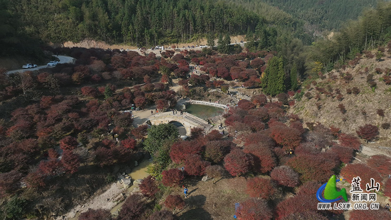 蓝山：文旅融合结“硕果” 村企“联姻”促发展2.jpg