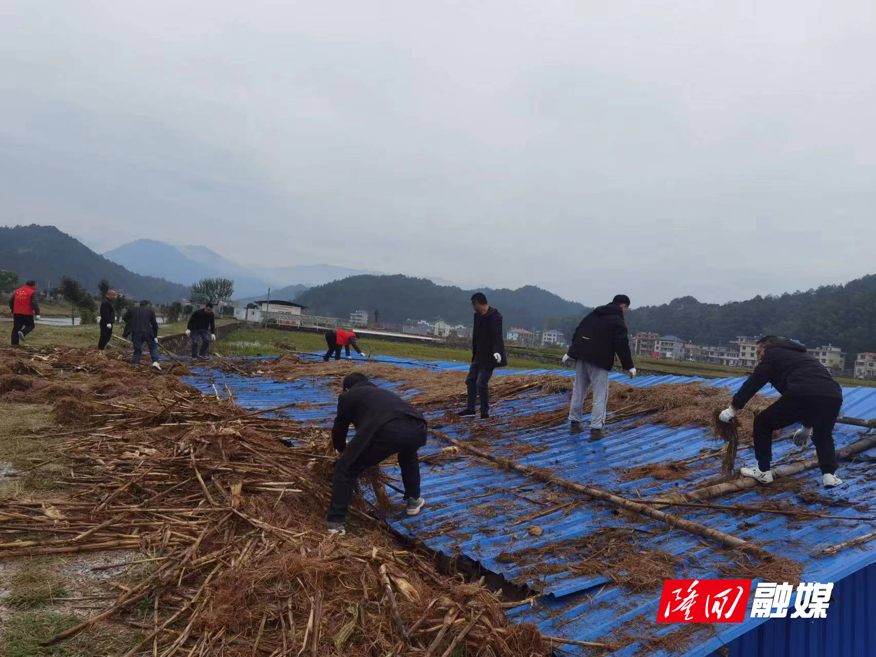 羊古坳镇开展河道治理工作(图1)