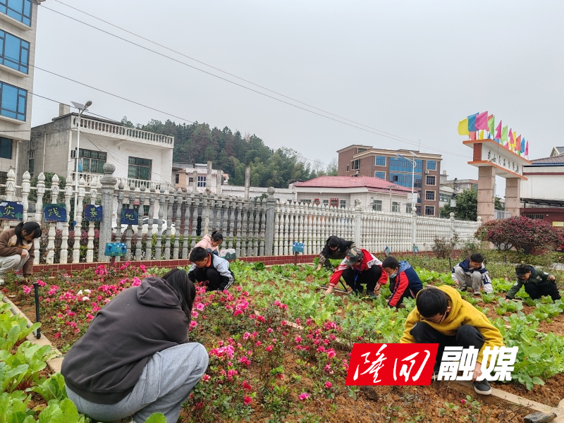 劳动基地2.jpg