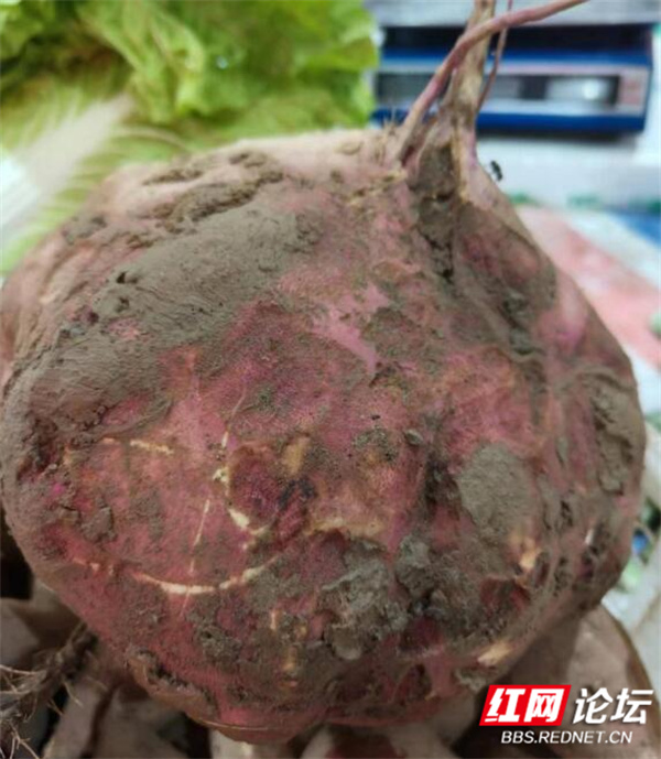 QQ截图20231130155156_副本.jpg
