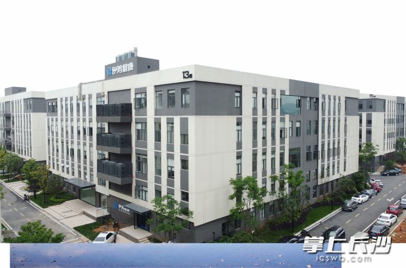 伊鸿健康是岳麓高新区重点引进的医疗产业项目，以及湘江国投旗下基金的重点投资项目。