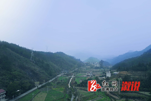 红网稿件图片.jpg