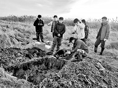 用智慧守护“耕地中的大熊猫” 用智慧守护“耕地中的大熊猫”