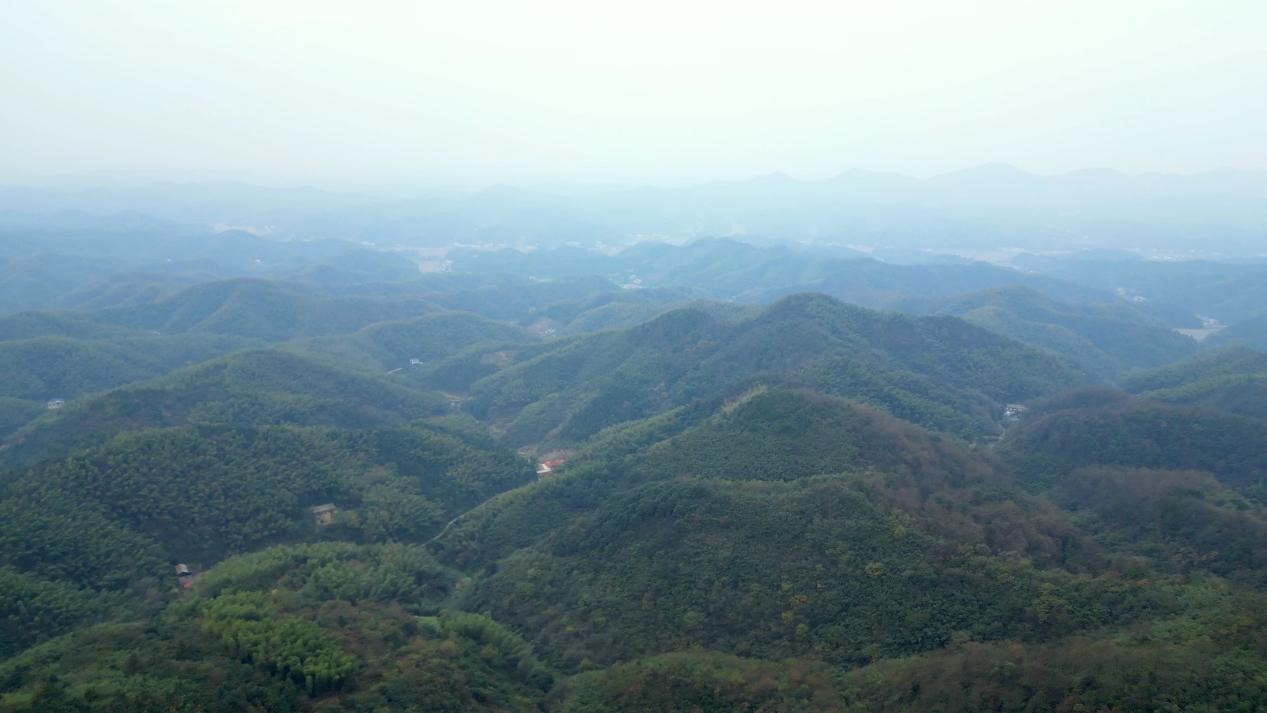 图片10.jpg