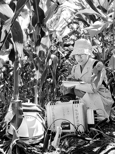 用智慧守护“耕地中的大熊猫” 用智慧守护“耕地中的大熊猫”