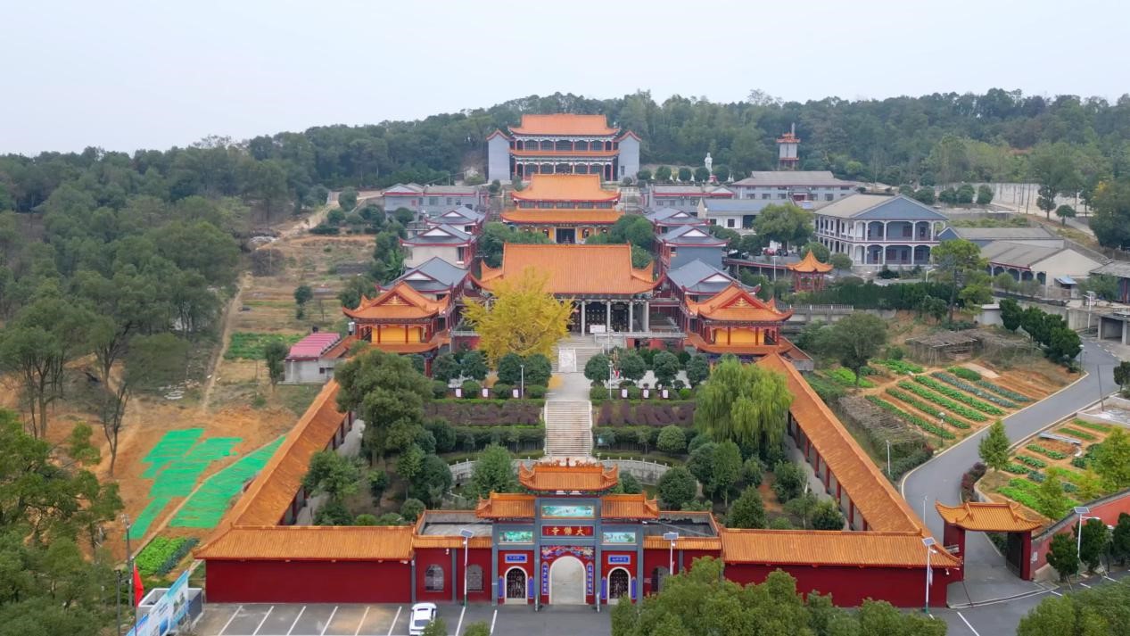 图片11.jpg