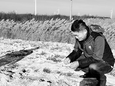 用智慧守护“耕地中的大熊猫” 用智慧守护“耕地中的大熊猫”