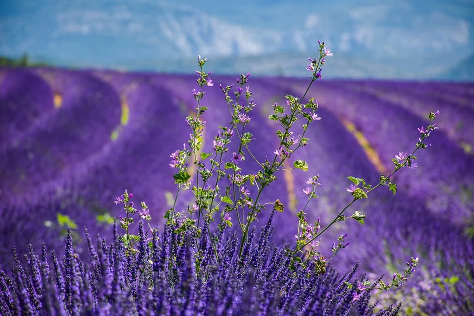 QQ截图20210602165509.png QQ截图20210602165509.png