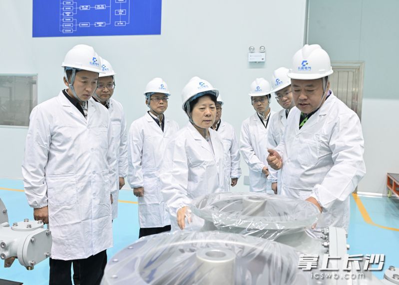 吴桂英在宁乡高新区调研湖南长高电气有限公司。