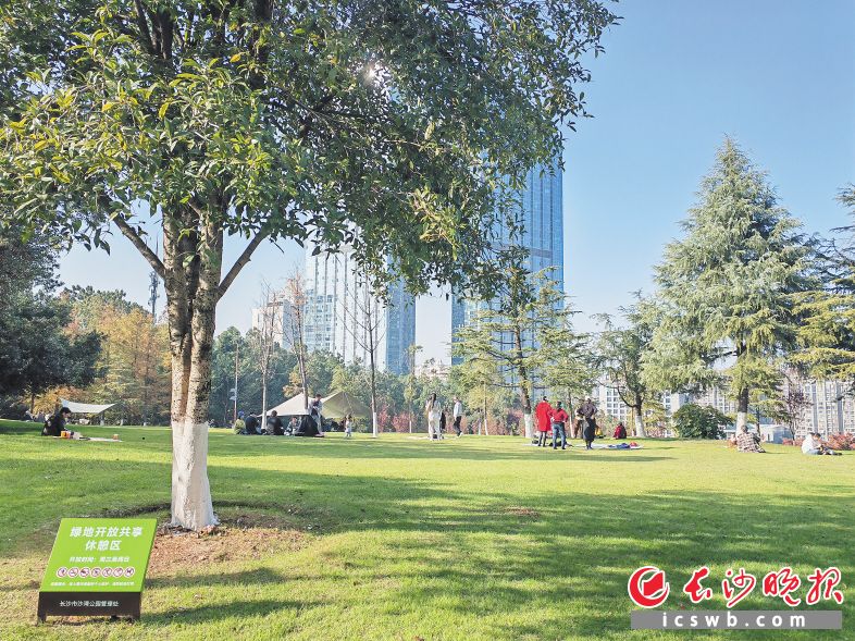 雨花区沙湾公园是第二批城市公园绿地开放共享试点之一，是市民扎帐篷露营、休闲休憩的好去处。 市城管执法局供图