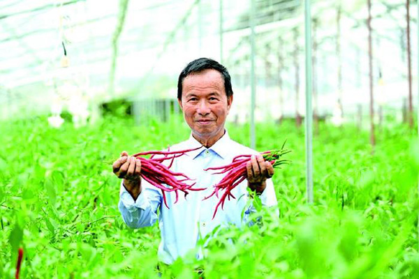 湖南好人 | 杨意红：60余年初心不改，一辈子“火辣”奉献