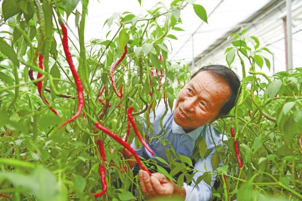 “湖南好人”杨意红：“辣椒大王”60多年独爱一件事