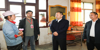 高质量高效率推进项目建设 真正把好事办好实事办实——郑湘到乡镇调研重点项目、重点民生实事项目建设和乡村振兴工作开展情况
